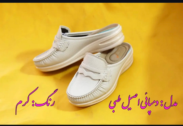 دکتر شول